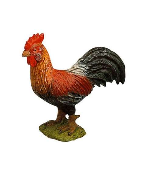 gallo