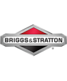 Briggs Stratton